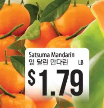 Hmart Satsuma mandarin offer