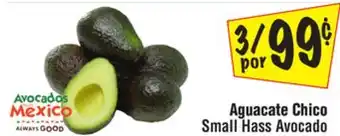 El Super Small hass avocado offer