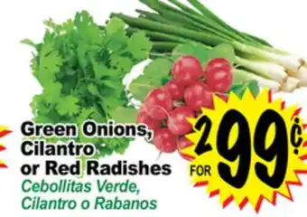 Superior Grocers Green onions, cilantro or red radishes offer
