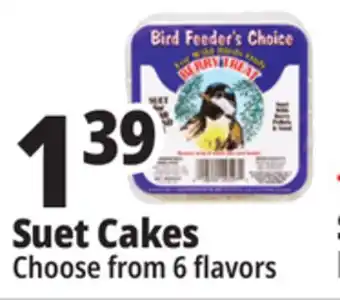 Ocean State Job Lot Suet cakes offer