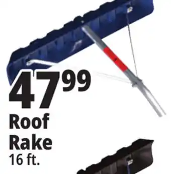 Ocean State Job Lot Roof rake offer