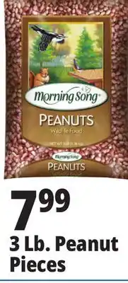 Ocean State Job Lot 3 lb. peanut pieces offer