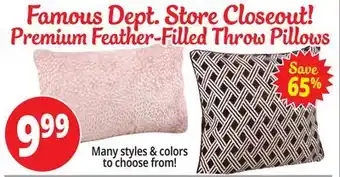 Ocean State Job Lot Famous dept. store closeout! premium feather-filled throw pillows offer