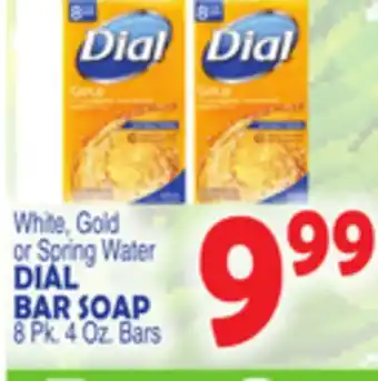 Bravo Supermarkets Dial bar soap offer