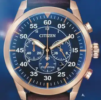 Boscov's Select citizen watches offer