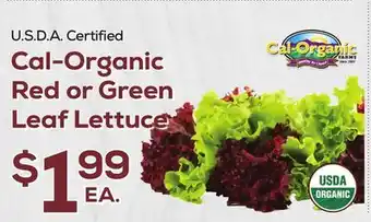 DeCicco & Sons Cal-organic red or green leaf lettuce offer
