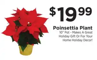 ShopRite Poinsettia plant offer