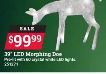 Ace Hardware 39 led morphing offer