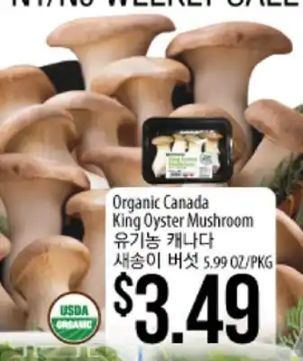 Hmart Organic canada king oyster mushroom offer