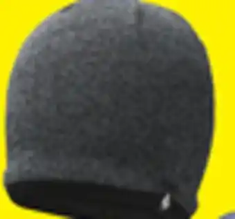 Big 5 Heat holders men's beanie offer