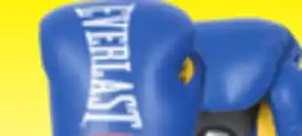 Big 5 Everlast pro-style boxing gloves 14 oz offer