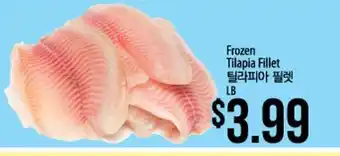 Frozen tilapia fillet