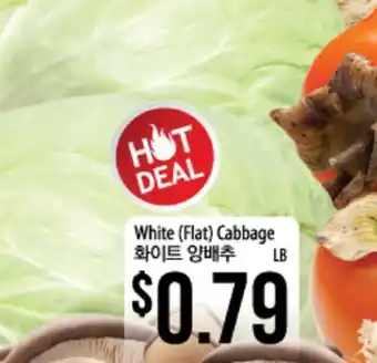 White (flat) cabbage