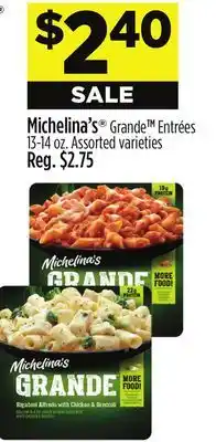Dollar General Michelina's offer