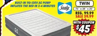 Big 5 Sealy tritech twin 20 air mattress with built-in ac pump offer