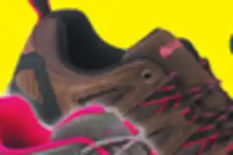 Big 5 Denali backcountry men's hiking shoes offer