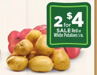 Dollar General Red or white potatoes offer