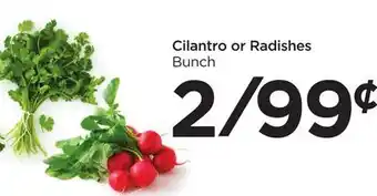 Food 4 Less Cilantro or radishes offer