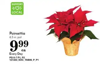 Pavilions Poinsettia offer