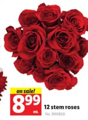 Lidl 12 stem roses offer