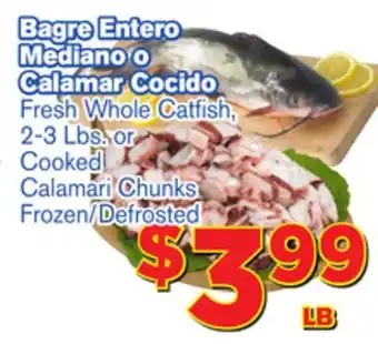 El Super Fresh Fresh whole catfish, 2-3 lbs. or cooked calamari chunks offer