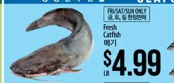 Hmart Fresh catfish offer