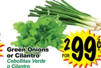 Superior Grocers Green onions or cilantro offer