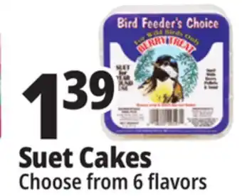 Ocean State Job Lot Suet cakes offer