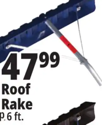 Ocean State Job Lot Roof rake offer