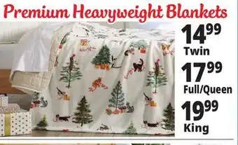 Ocean State Job Lot Blankets & throws offer