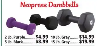 Ocean State Job Lot Neoprene hand weights offer