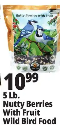 Ocean State Job Lot 5 lb. nutty berries with fruit wild bird food offer