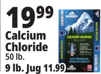 Ocean State Job Lot Calcium chloride offer