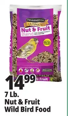 Ocean State Job Lot 7 lb. nut & fruit wild bird food offer