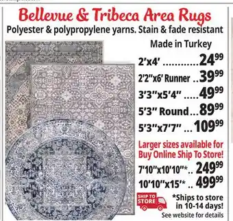 Ocean State Job Lot Bellevue & tribeca area rugs offer