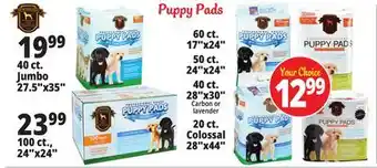 Ocean State Job Lot Puppy pads offer