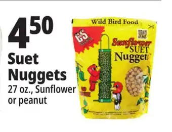 Ocean State Job Lot C&s peanut suet nuggets wild bird food, 27 oz offer