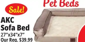 Ocean State Job Lot Akc sofa bed offer