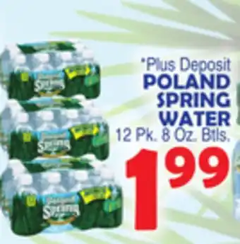 Bravo Supermarkets Poland spring water offer