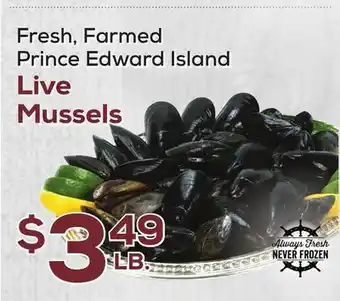 DeCicco & Sons Live mussels offer