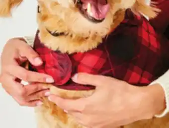 JC Penney St. john's bark puffer vests offer