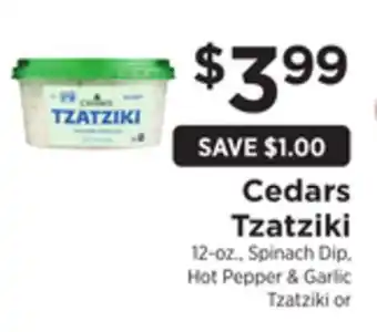 ShopRite Tzatziki offer