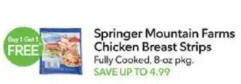 Publix Springer Mountain Farms Chicken Breast Strips offer