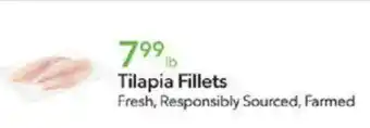 Publix Tilapia Fillets offer
