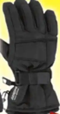 Big 5 Gordini women's ultra dri-max snow gloves offer