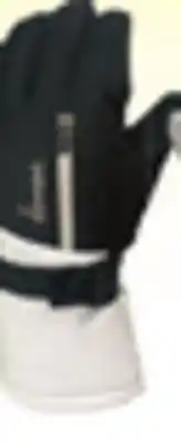 Big 5 Demon women's alta gauntlet snow glove offer