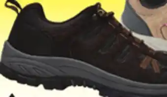 Big 5 Denali alpine low men's hiking shoes offer