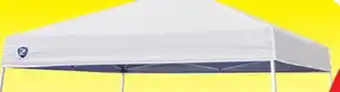 Big 5 Z-shade odyssey 10' x 10' slant leg instant canopy offer