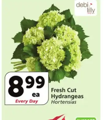 Vons Fresh cut hydrangeas offer