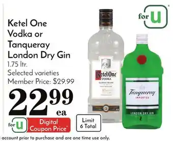 Pavilions Ketel one vodka or tanqueray london dry gin offer